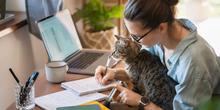 T&eacute;l&eacute;travailler, c&rsquo;est la sant&eacute; ?